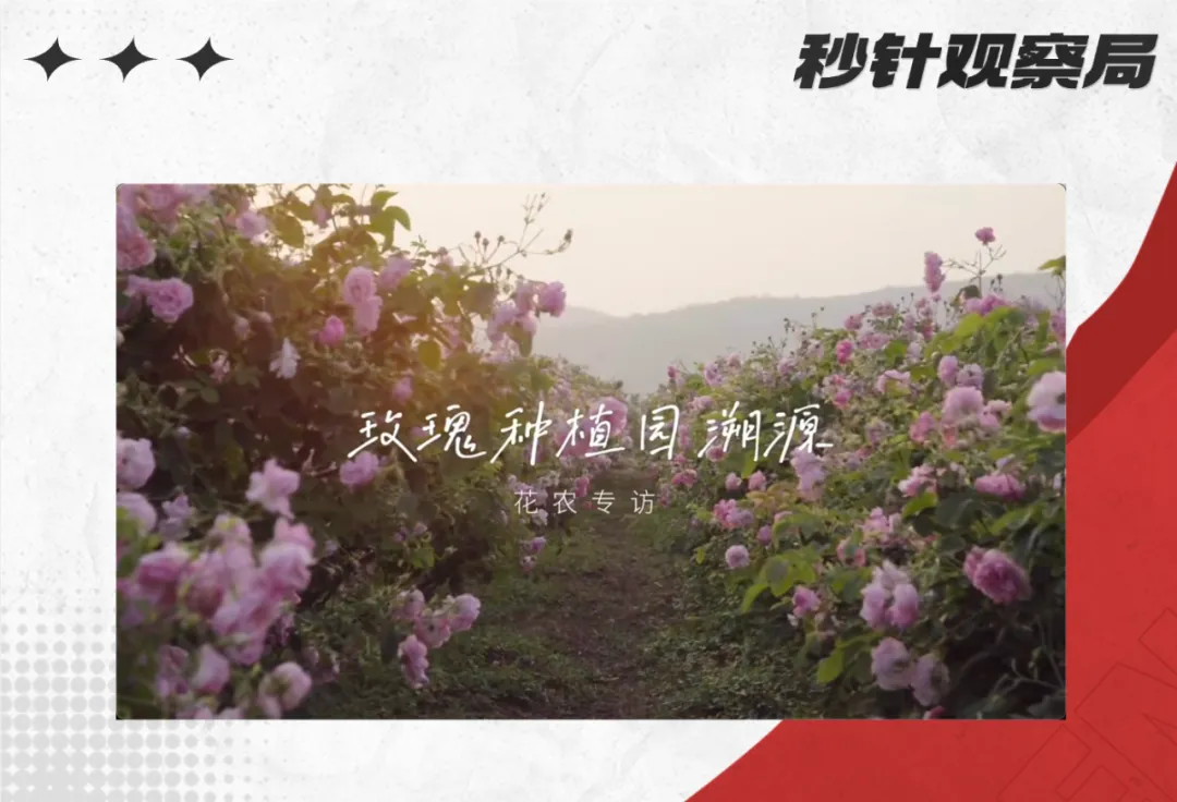 红海突围！解密半亩花田国货美妆领跑者背后的”花香营销学”